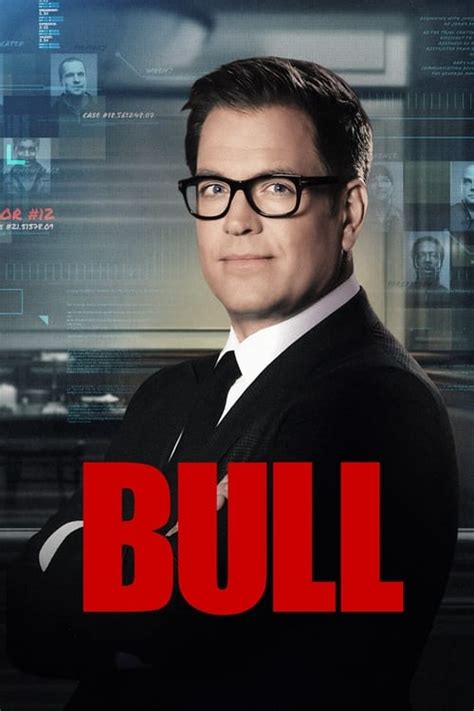 bull season 720p i c Torrents Download .
